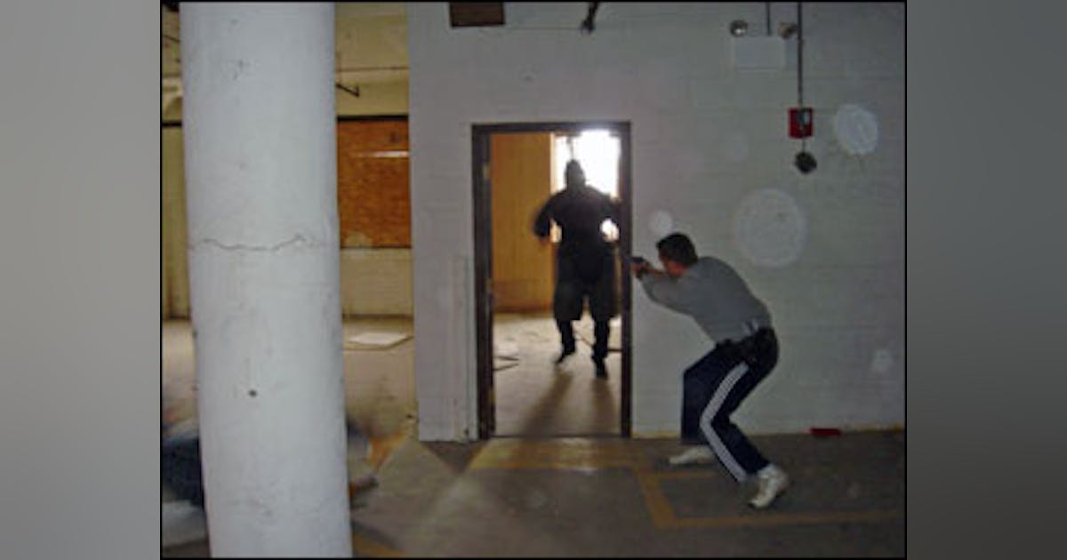 Fight, Flight or Freeze | Officer