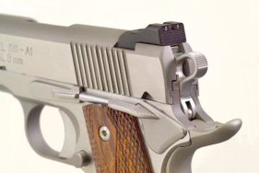 3dotfixedsights 10043612