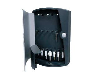 Accesspoint 10043314