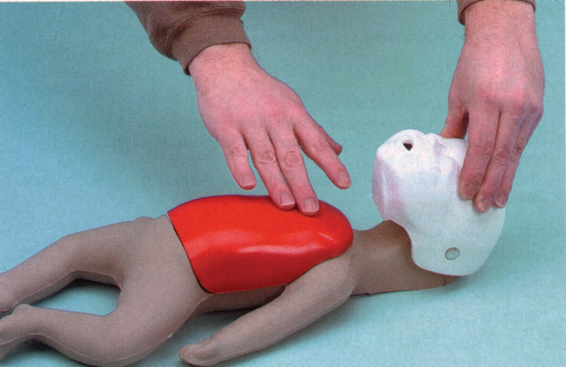 Babybuddycprmanikin 10046348