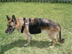 Chillydogcoolvest 10043406 Chillydogcoolvest 10043406