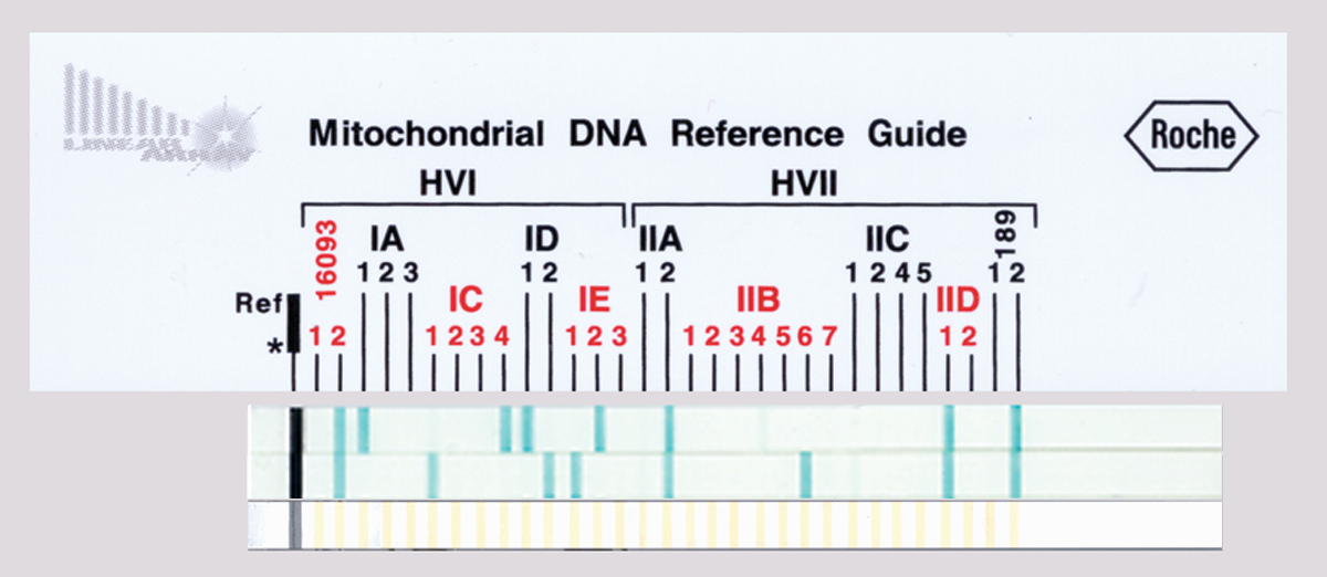Dnasequencetypingkit 10046256