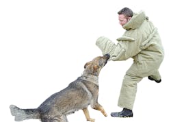 Dogbitesuit 10042640 Dogbitesuit 10042640