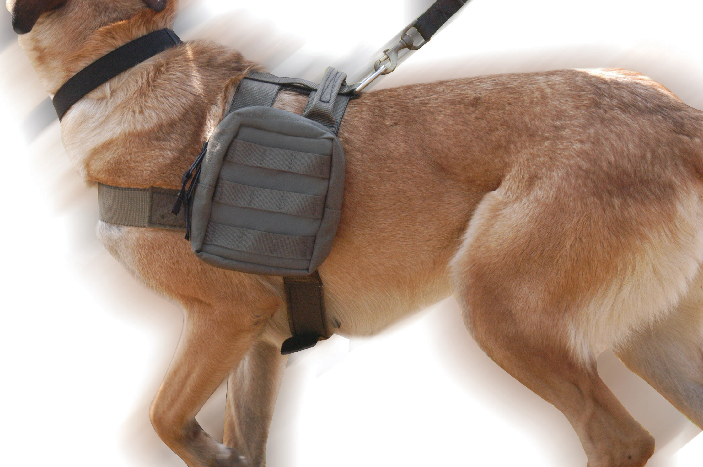 Extremedutyharness 10042392