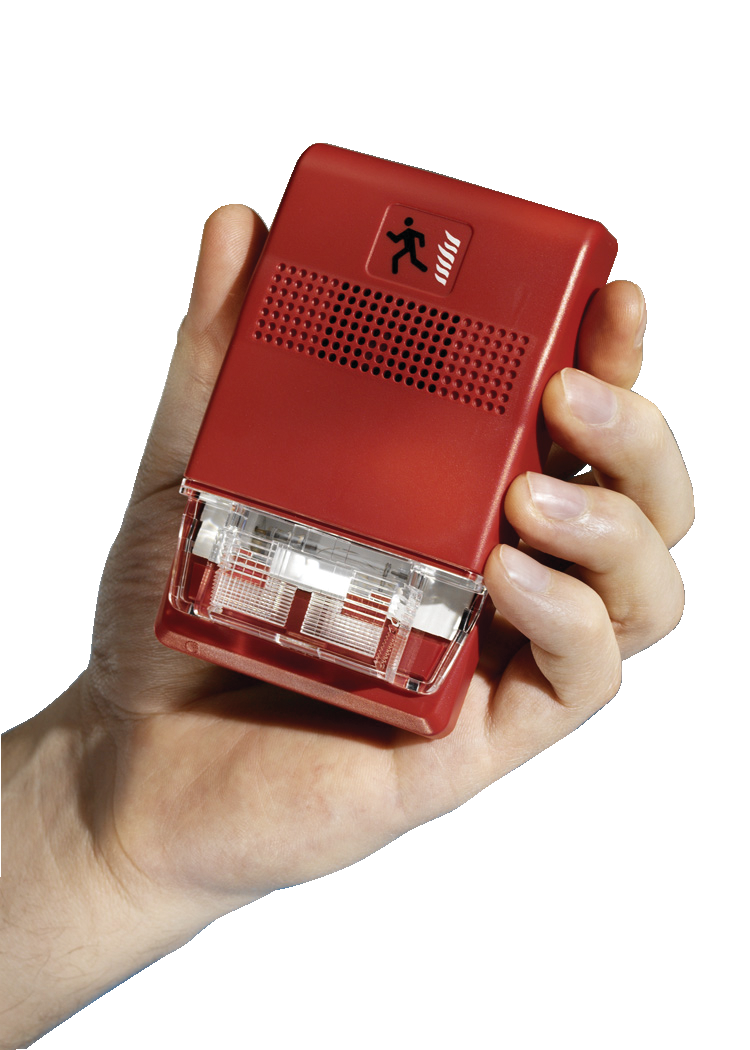 Genesisegiseries 10042581