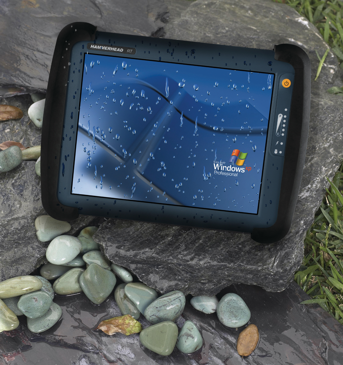 Hammerheadrt 10047489