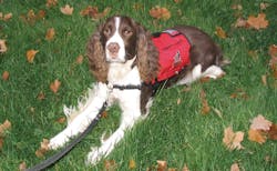 Harvest 10040585 Harvest 10040585