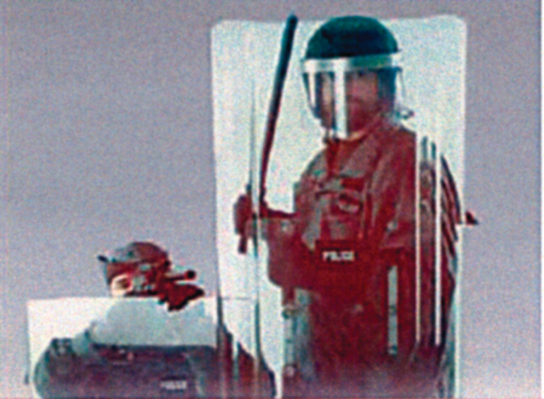 Interlockingshields 10044416