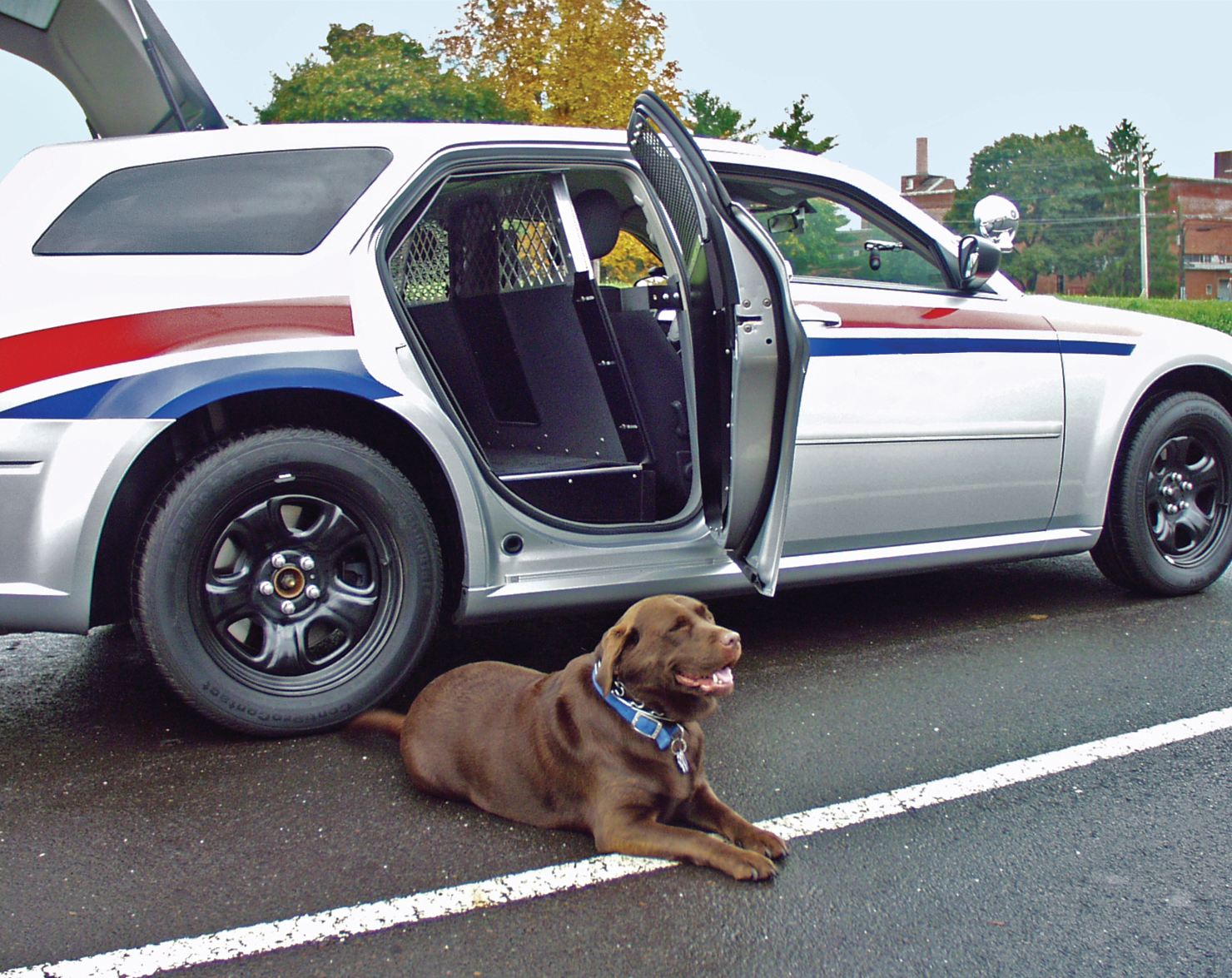 K9transportunitfordodgemagnum 10043583