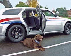 K9transportunitfordodgemagnum 10043583 K9transportunitfordodgemagnum 10043583