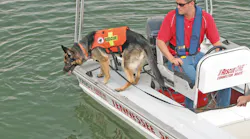 K9walkway 10046012
