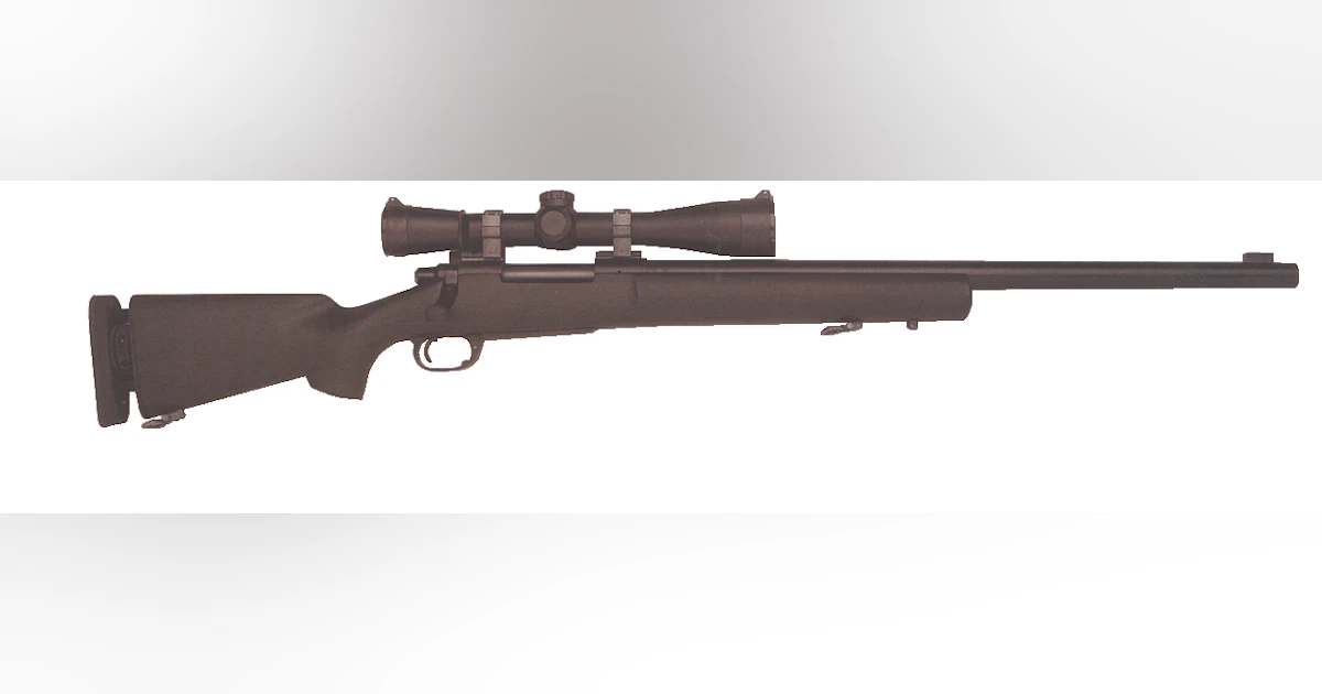 M24 Sniper Weapon System | Officer