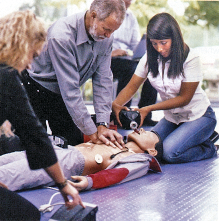 Megacodesimulationsystem 10040896