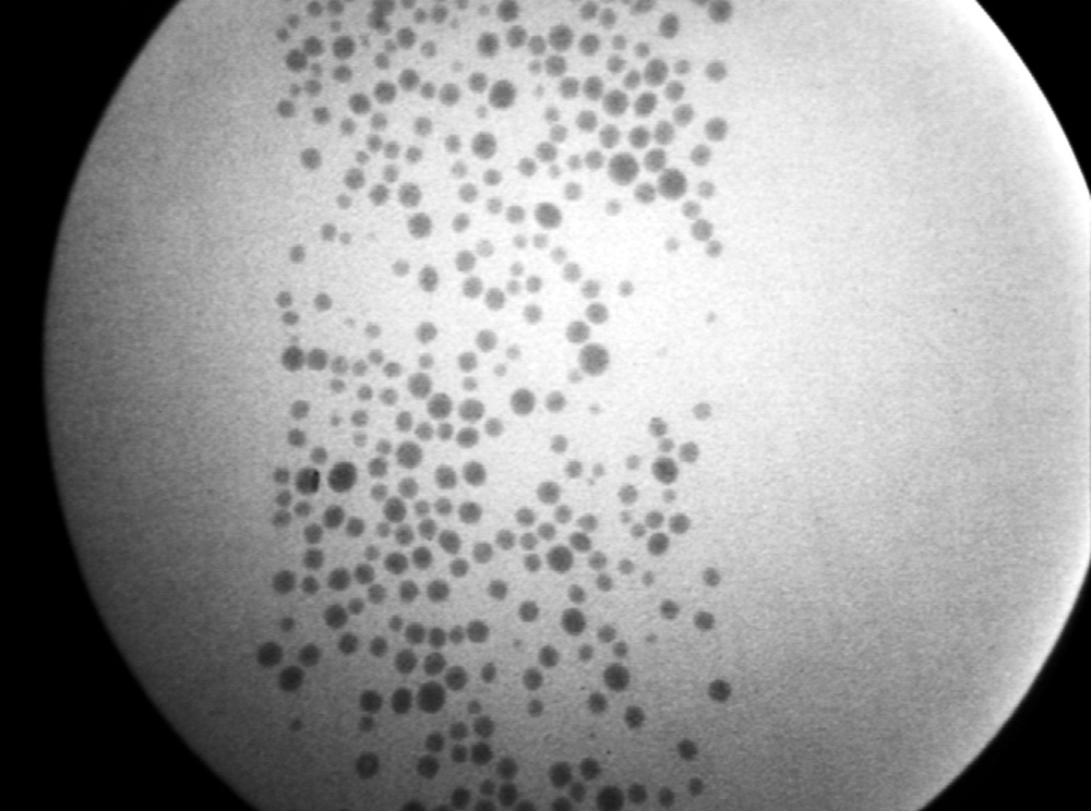 Newxraytechnology 10043408