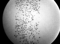 Newxraytechnology 10043408 Newxraytechnology 10043408