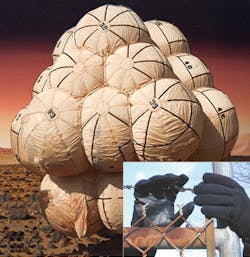 Punctureresistantgloves 10047205 Punctureresistantgloves 10047205