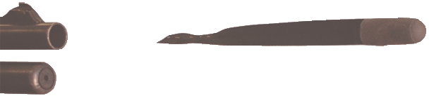 Wasplesslethalprojectile 10042097