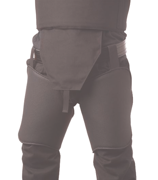 Capscorrectionsarterialprotectionsystem 10048238