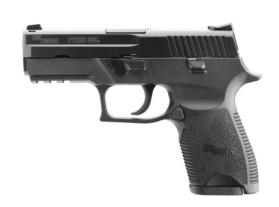 P250handgun 10048152