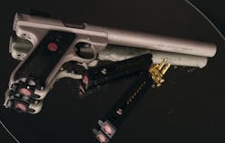 Amphibians 10048403 Amphibians 10048403