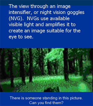 Whoownsthenight 10249106