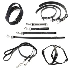 Tacblackleatherleadscollarsandharnesses 10048920 Tacblackleatherleadscollarsandharnesses 10048920