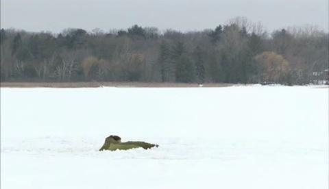 Howlongcanyouwatch 10245125