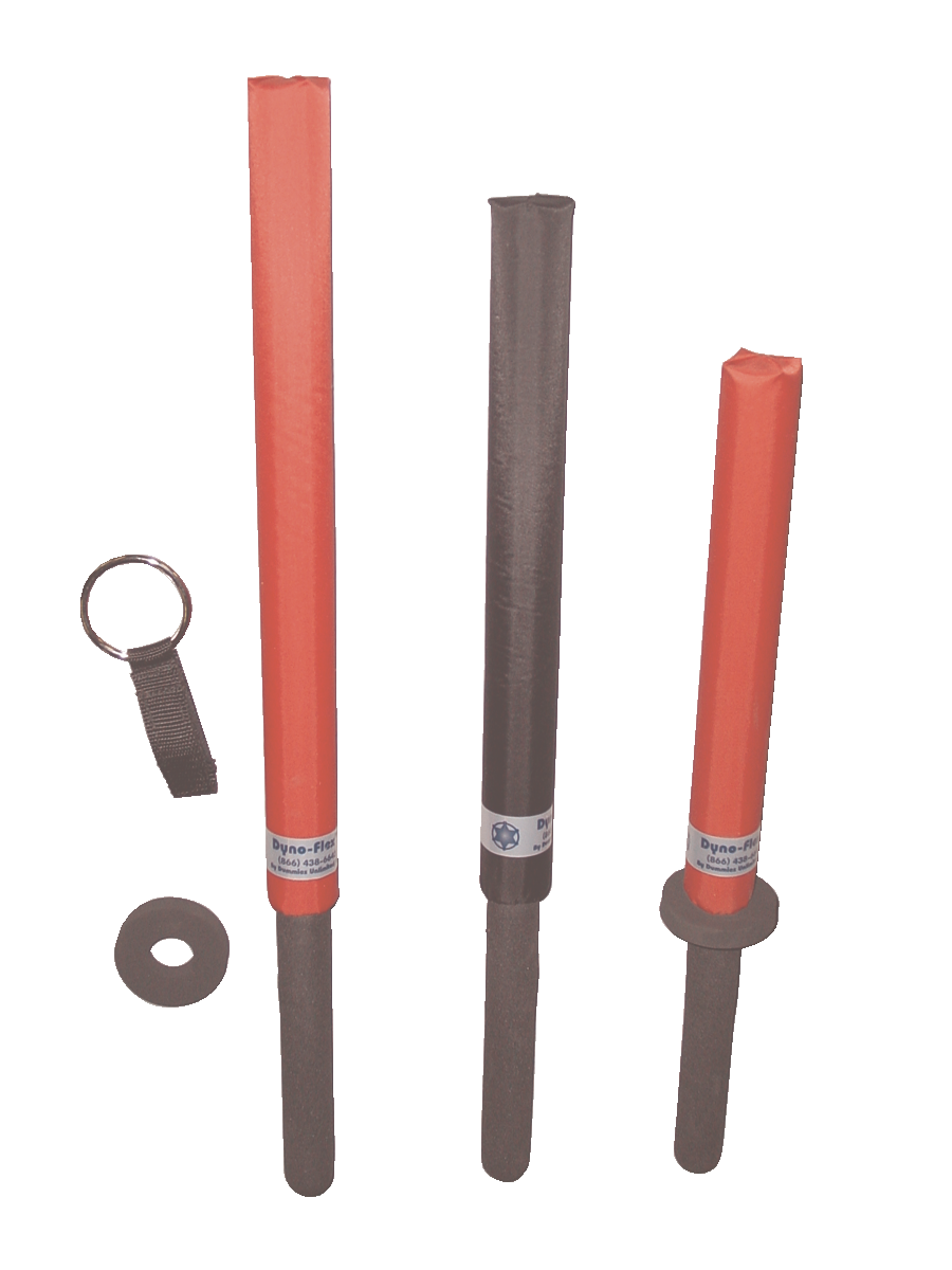 Dynoflex2008innovationawardswinnertraining 10050201