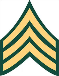 What impact will your sergeant stripes have on the agency and, more importantly, the officers you supervise? What impact will your sergeant stripes have on the agency and, more importantly, the officers you supervise?