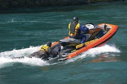 Ribski 10051686 Ribski 10051686