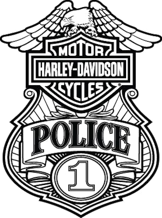 Harleydavidsonmotorco 10029202