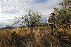 Toxicityinarmstrafficking 10233271