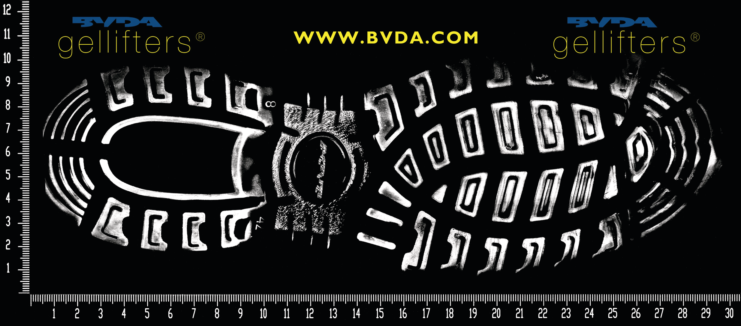 Bvdaamericainc 10039239