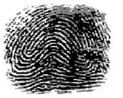 Cseinc 10028734 Cseinc 10028734