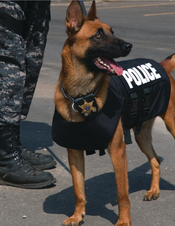 K9vest 10052650
