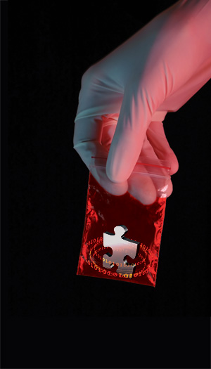 Thecrimesceneevidenceyoureigno 10233179