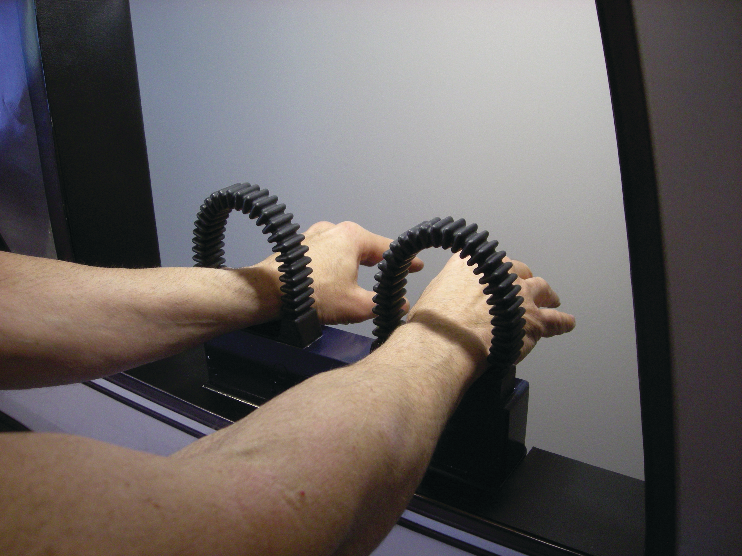 Roborestraint 10053680