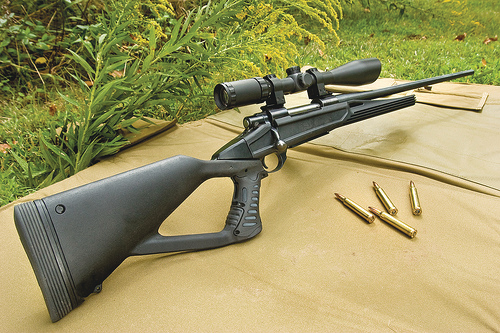 Axiomththumbholeriflestock 10053380