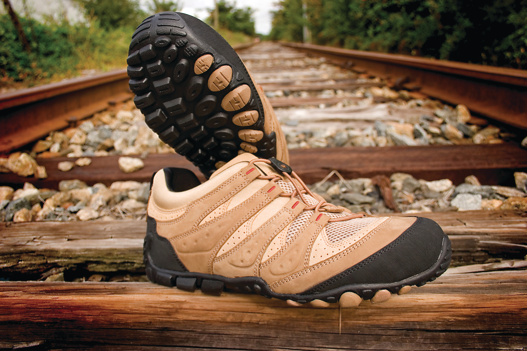 Tantolighthiker 10053620