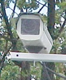 Eaglejpg 10155013 Eaglejpg 10155013