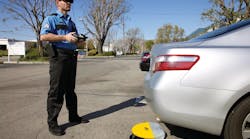 New Ferret Action New Ferret Action