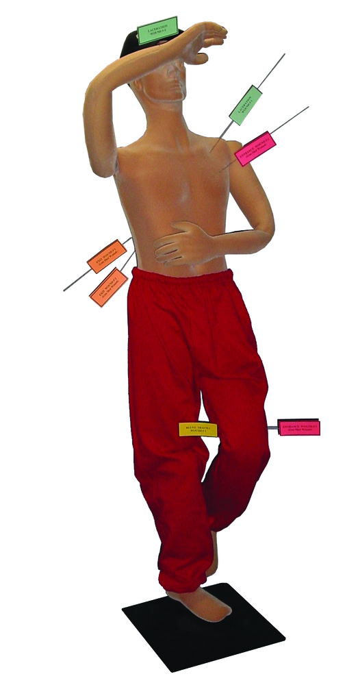 Polyflexobliquemalewrods 10222775