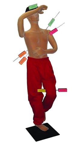 Polyflexobliquemalewrods 10222775 Polyflexobliquemalewrods 10222775