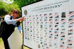 FBI agent Lourdes Arocho adjusts a poster showing faces of dozens of alleged gang members. FBI agent Lourdes Arocho adjusts a poster showing faces of dozens of alleged gang members.