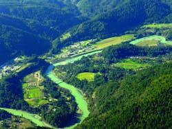 P1030324edit286 10278698 P1030324edit286 10278698