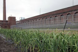 Inmates maintain the garden at Leavenworth Prison in Kansas. Inmates maintain the garden at Leavenworth Prison in Kansas.