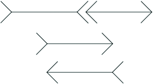 Which line is longer? The answer may surprise you.