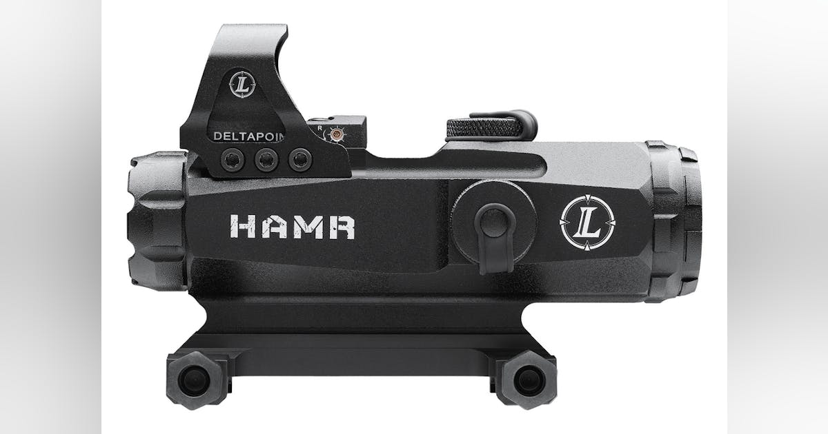 _hamr_wsight_10313521.png?auto _hamr_wsight_10313521.png?auto