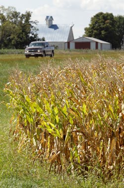 Cornroads 10347182 Cornroads 10347182