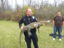 Michgator 10448935 Michgator 10448935